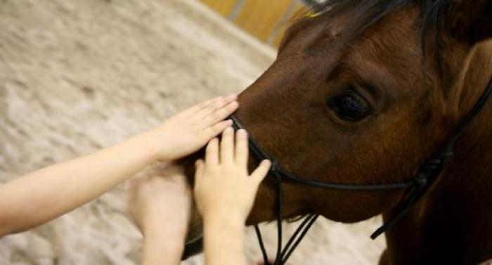 Foto Stefano Grasso per cavallo2000