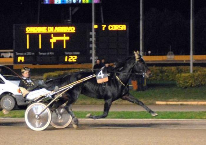 Opal Viking in azione. Foto Sophie Lanca