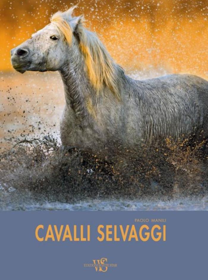 Cavalli allo specchio, se ne parla il 9 giugno a Pisa