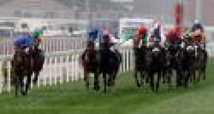 Hong Kong. Dettori primo, Jakkalberry quinto