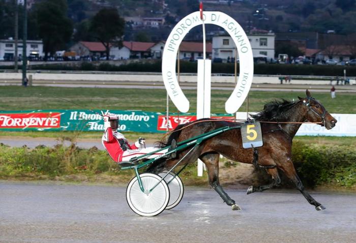 Agnano. Il Derby incorona un Robert Bi da record