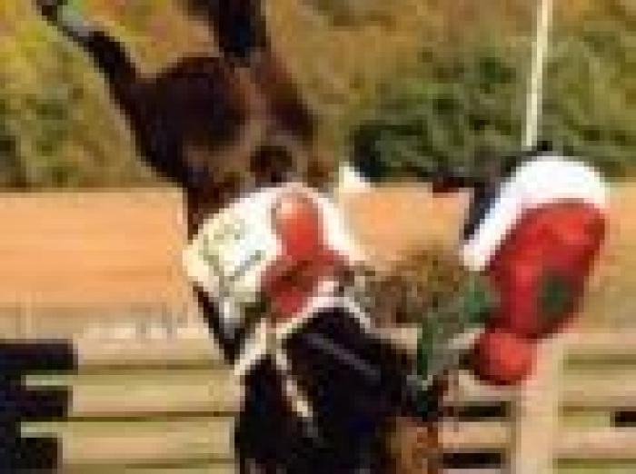 Galoppo, ecco la foto dell'anno in America Galoppo, ecco la foto dell'anno in America