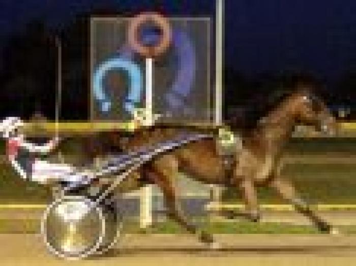 In home page Algiers Hall. Qui sopra la sua vittoria. Foto di Sophie Lanca In home page Algiers Hall. Qui sopra la sua vittoria. Foto di Sophie Lanca