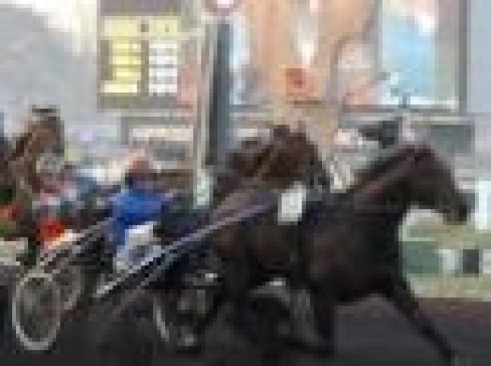 Trotto a Parigi, Ghibellino sfiora l'impresa