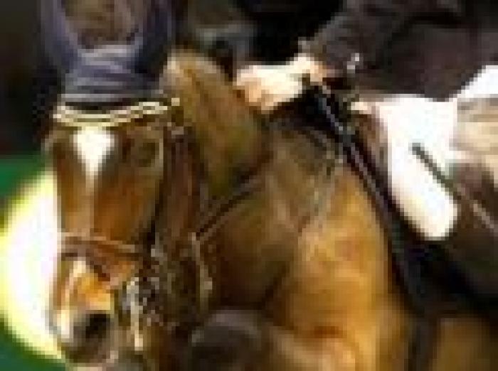 World Cup a Verona, bis dell'olandese Zoer