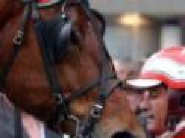 Clamoroso: Equinox Bi ritrovato nelle Marche