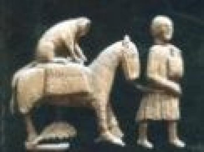 Il cavallo fedele compagno sulla Via Francigena