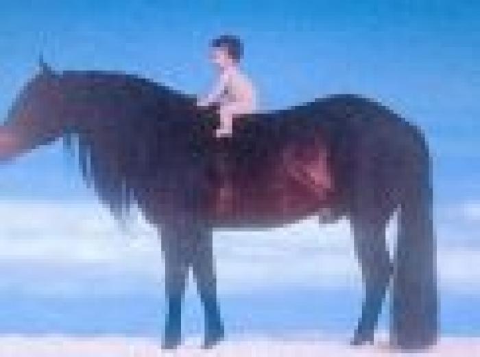 La locandina di Emozione Cavallo II.  Foto di Oliviero Toscani