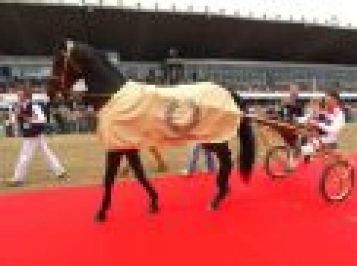in home page Tornese, qui sopra Varenne (vincitore nel 2000 del GP Turilli) nella foto di Stefano Grasso in home page Tornese, qui sopra Varenne (vincitore nel 2000 del GP Turilli) nella foto di Stefano Grasso