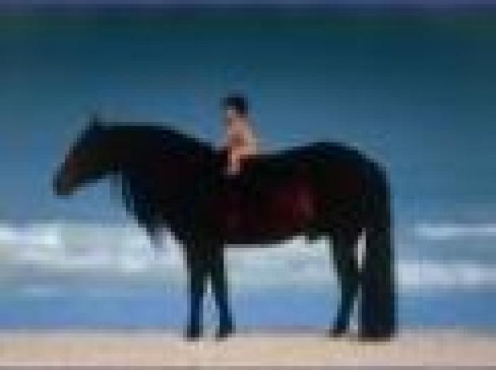 Emozione Cavallo, mostra fotografica al Niguarda