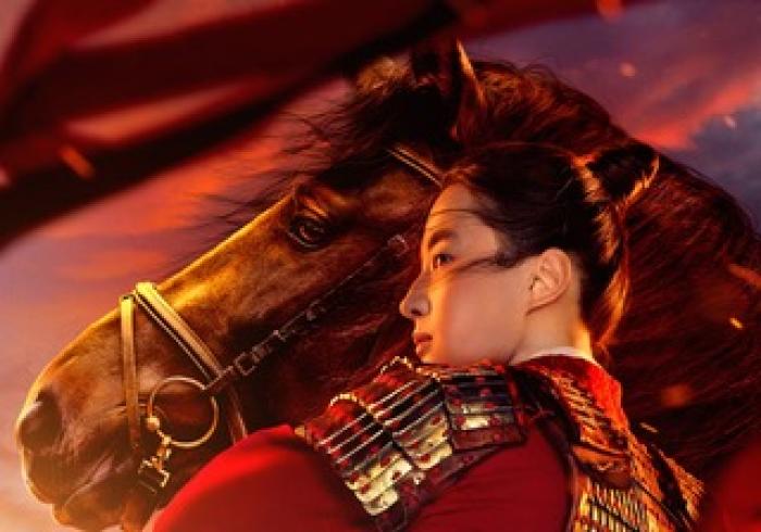 Il cavallo di Mulan, un'ombra cinese.
