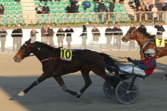 Il super sabato di Milano con la Coppa e il Gran Premio Allevatori