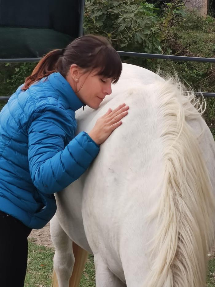 Osservare i cavalli: una via per ritrovare se stessi Osservare i cavalli: una via per ritrovare se stessi