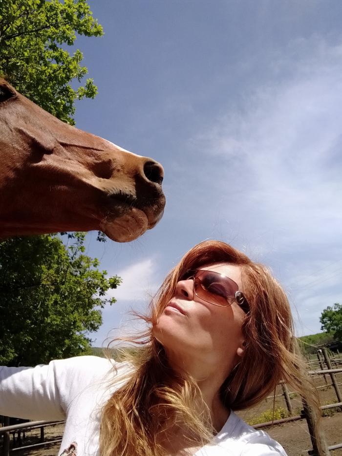 Il cavallo empatico che mi ha cambiato la vita Il cavallo empatico che mi ha cambiato la vita