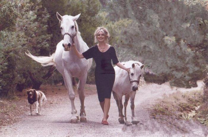 Ci ha lasciato Brigitte Bardot icona del cinema ed animalista
