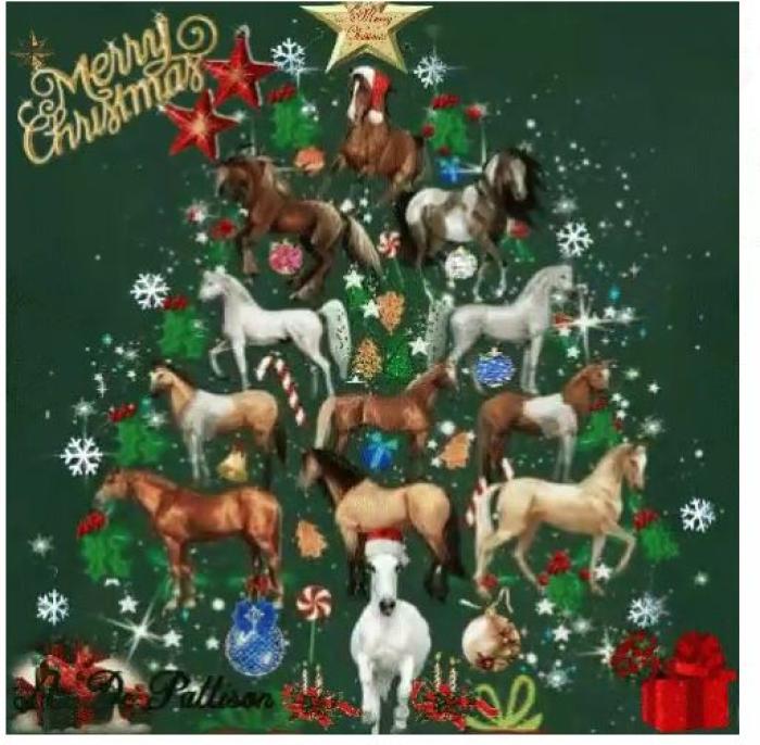 Cavalli e Natale, simboli e tradizioni