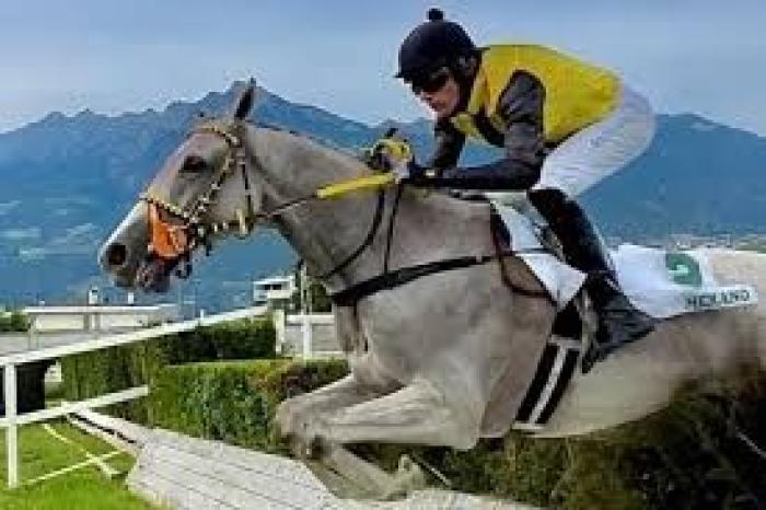 Lunedì Mauricius in lizza a Cagnes Sur Mer in steeple Lunedì Mauricius in lizza a Cagnes Sur Mer in steeple