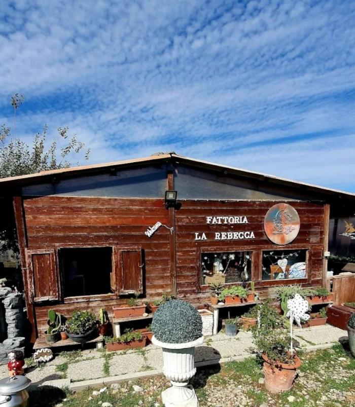 Fattoria La Rebecca: rifugio di amore e rinascita nelle campagne di Parma Fattoria La Rebecca: rifugio di amore e rinascita nelle campagne di Parma