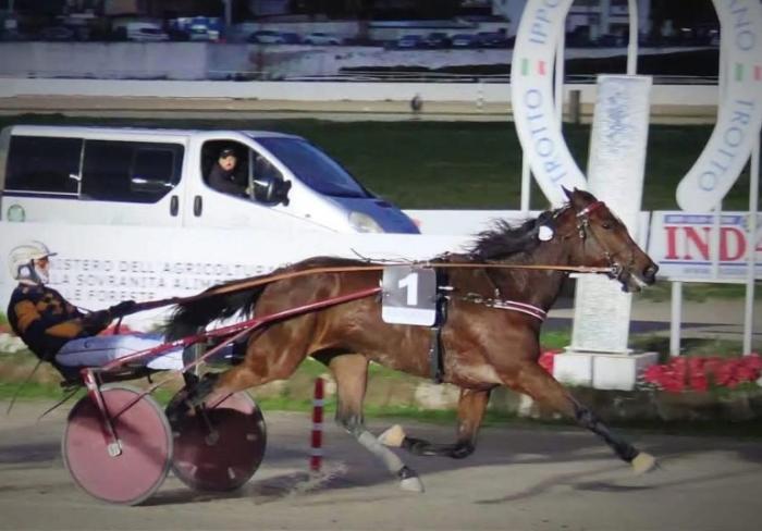 Agnano, il Gran Premio Royal Mares chiude il 2025