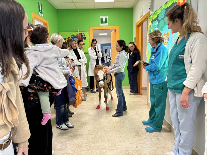 Natale con la FISE:  Osp. Cervello di Palermo un pony  per regalare sorrisi ai bambini ricoverati