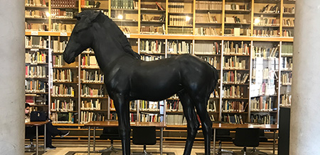 Cavalli in libreria