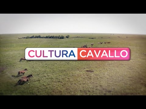 In onda la seconda puntata di Cultura Cavallo